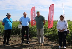 В Харабалинском районе прошла демонстрация семенного картофеля местного хозяйства