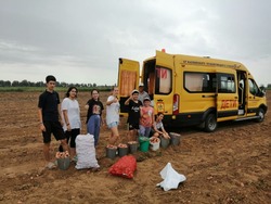 Воспитанники харабалинского центра «Вера» приняли участие в уборке картофеля 