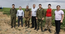 В Астраханской области за 2024 год выросло производство сельхозпродукции