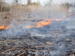 На территории Харабалинского и Ахтубинского районов произошли крупные пожары 