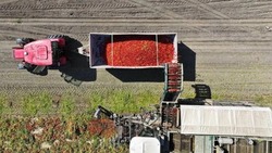 Астраханская область развивает внешнюю торговлю