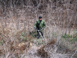 В Харабали провели рейд по выявлению очагов дикорастущих наркосодержащих растений