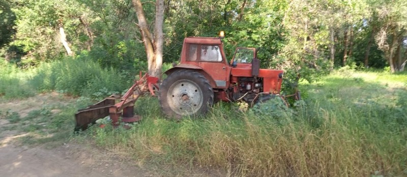 В Харабалинском районе уничтожены очаги дикорастущей конопли