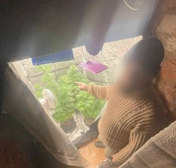 Харабалинца подозревают в незаконном культивировании наркосодержащих растений
